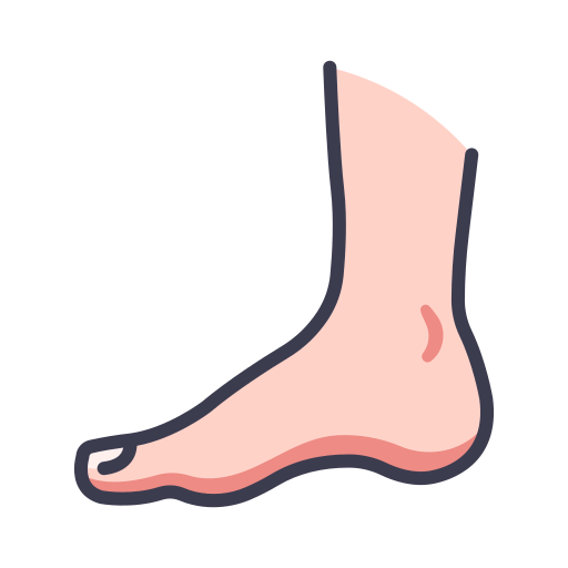 a human foot